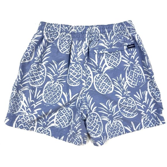 Chubbies The Thigh Napples Swim Trunks Mens Sz Medium 5.5" Mesh Lined Pineapple - Picture 4 of 14